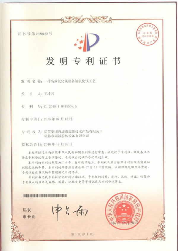 氧化鎂消化系統(tǒng)發(fā)明專利